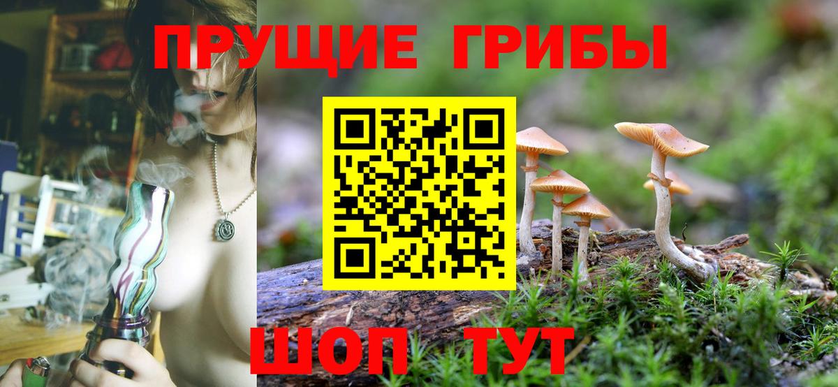 хочу   Псилоцибиновые грибы Magic Shrooms  Вход с VPN  Псилоцибиновые грибы Psilocybine cubensis  Богданович 